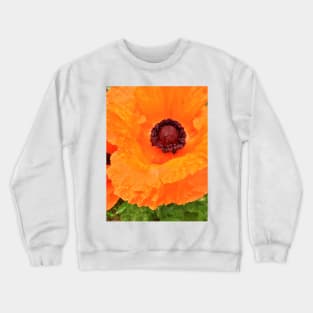 Beautiful Orange Poppy  - Early Spring Blooms Crewneck Sweatshirt